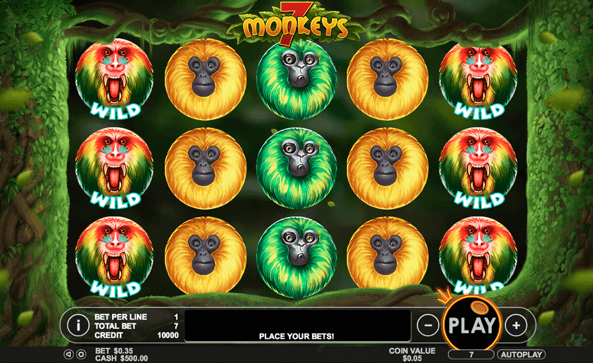 7 Monkeys