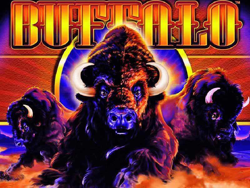 Free Buffalo Gold Slots