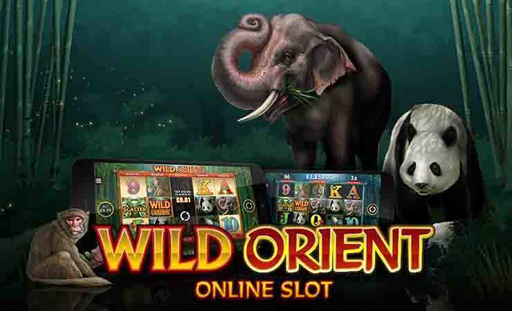 Wild Orient