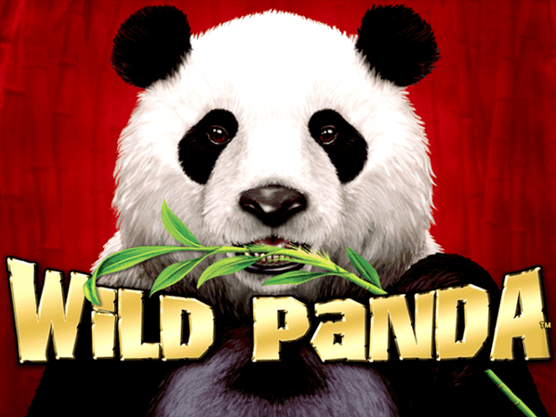 play wild panda slot machine free online
