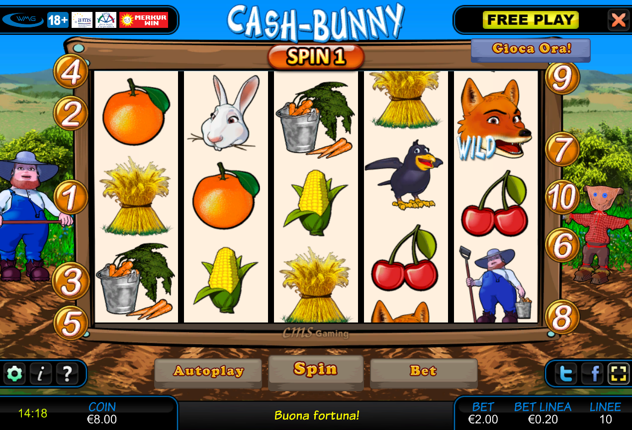 Cash Bunny