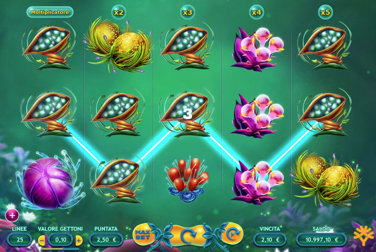 Fruitoids