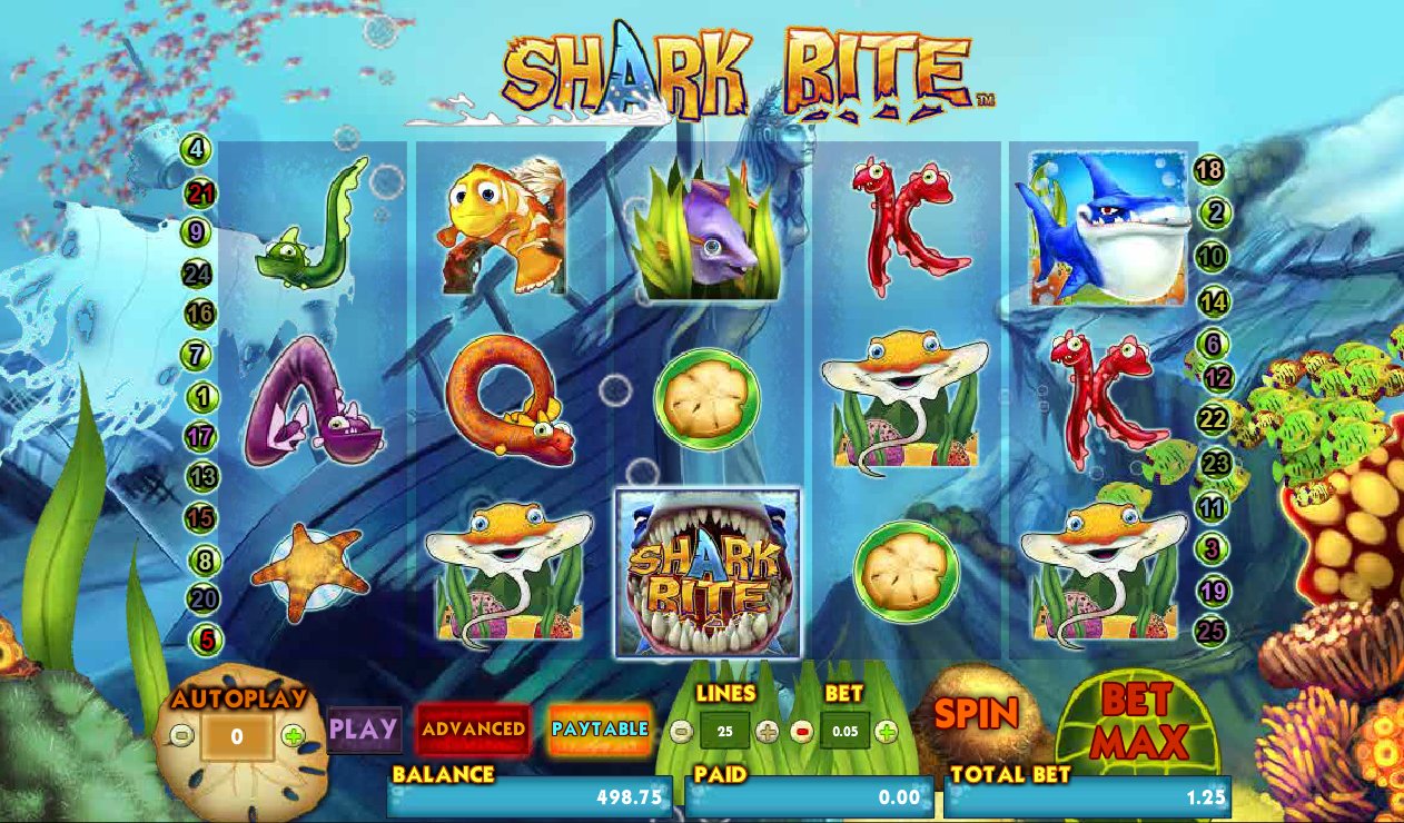 play typer shark online free no download