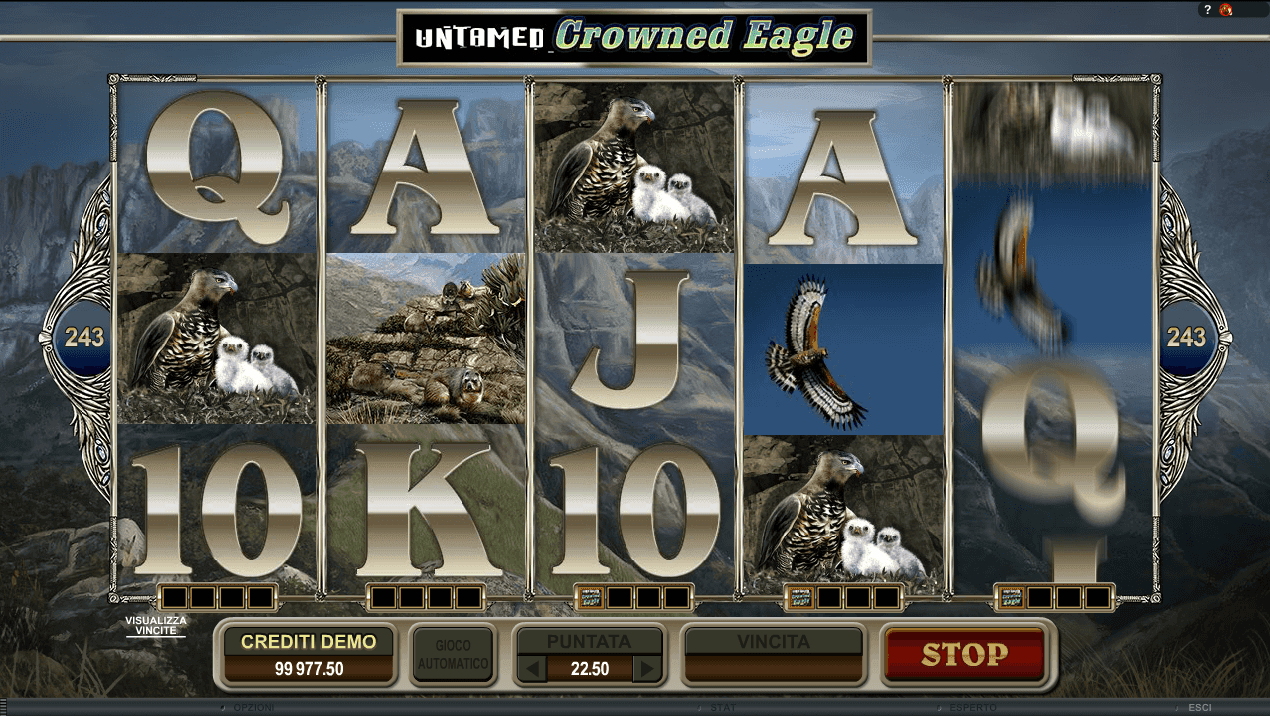 Untamed Crowned Eagle