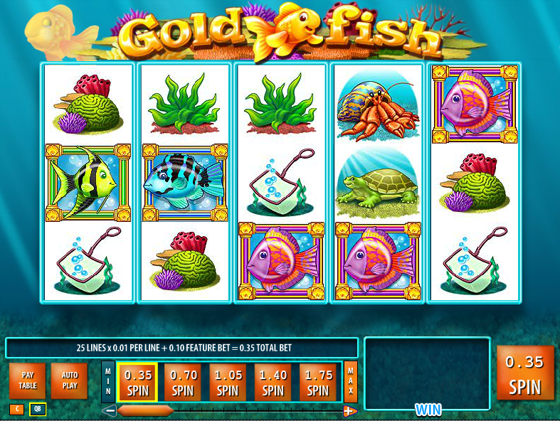 what online casino is like goldfish