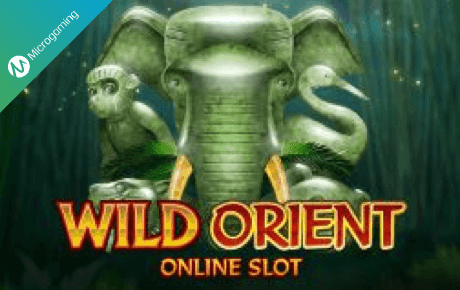 Wild Orient